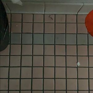 Meet your Posher, Dontae